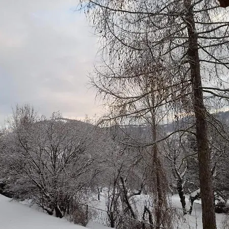 Apartament U Antosia